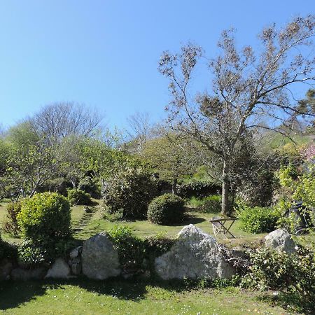 Fern Villa B&B Fishguard Eksteriør bilde