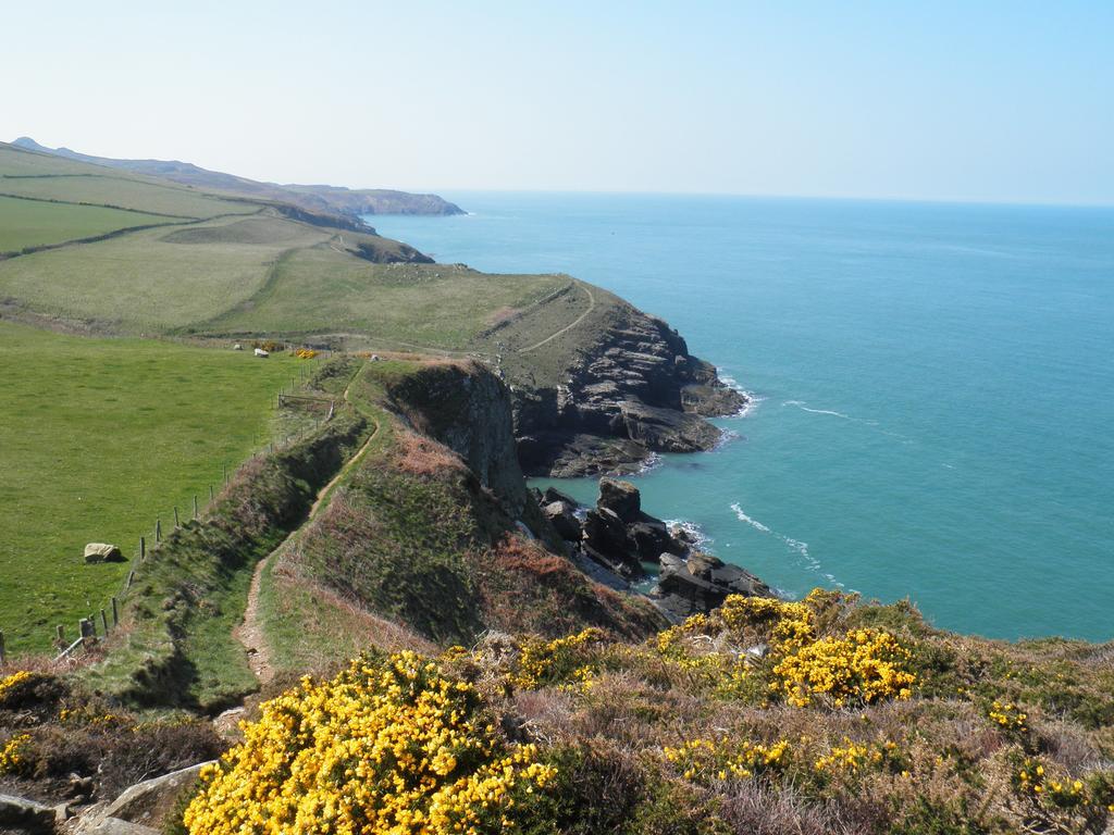 Fern Villa B&B Fishguard Eksteriør bilde