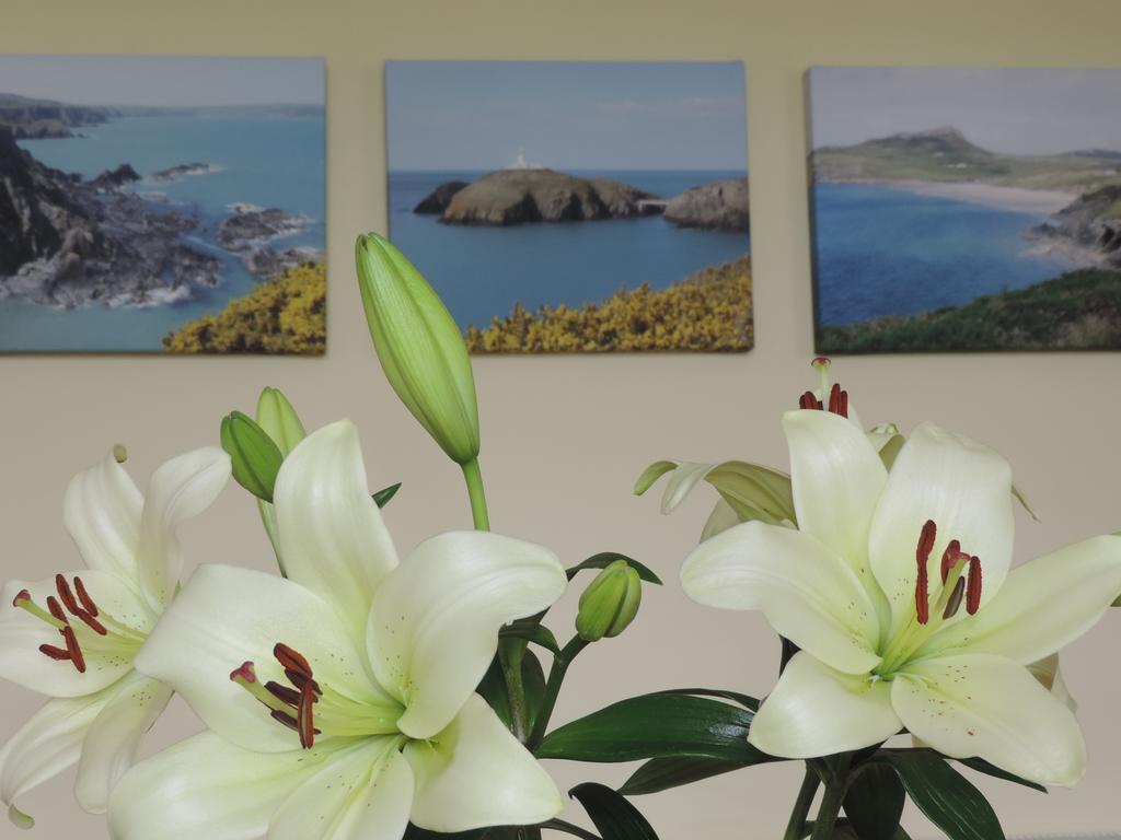Fern Villa B&B Fishguard Eksteriør bilde