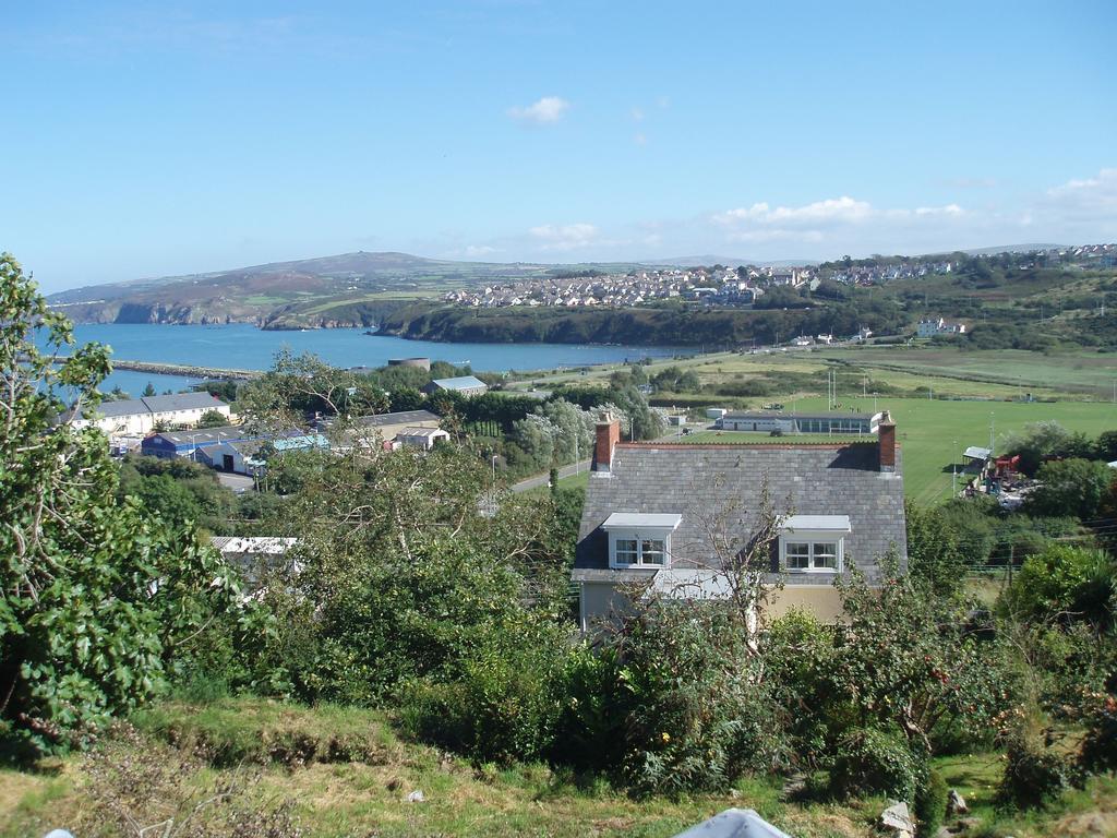 Fern Villa B&B Fishguard Rom bilde
